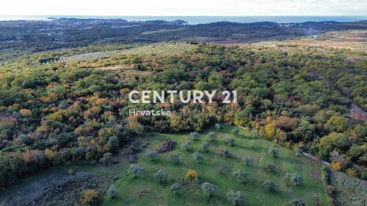 Rovinj, Rovinj, Istarska Županija 52210, Croácia