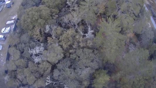 0 Undetermined, OCALA, Флорида 34473, Соединенные Штаты