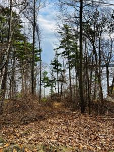 0 Schuyler Road, Keeseville, New York 12944