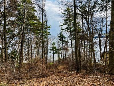 0 Schuyler Road, Keeseville, New York 12944