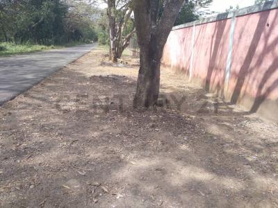 Barinas, Barinas 5201, Venezuela