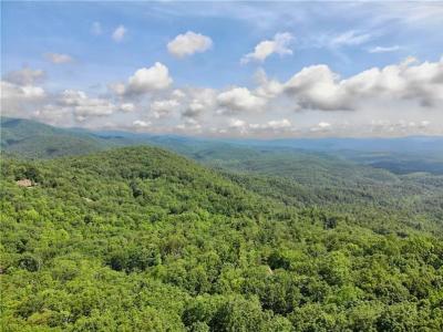 3023 Wild Turkey Bluff, Big Canoe, Georgia 30143, USA
