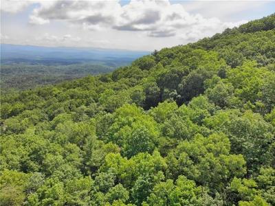 3023 Wild Turkey Bluff, Big Canoe, Georgia 30143, USA