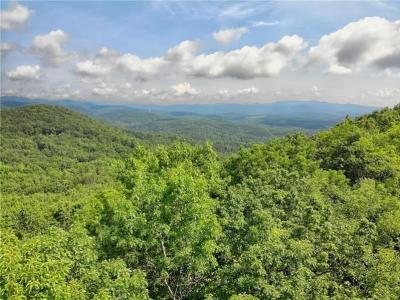 3023 Wild Turkey Bluff, Big Canoe, Georgia 30143, USA