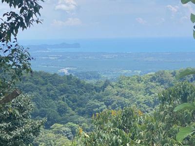 Quepos Quepos, Puntarenas 60601, Costa Rica