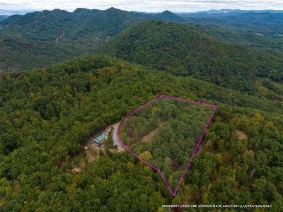 N Tranquility Trail Lot 41, Union Mills, צפון קרוליינה 28167, ארצות הברית של אמריקה 