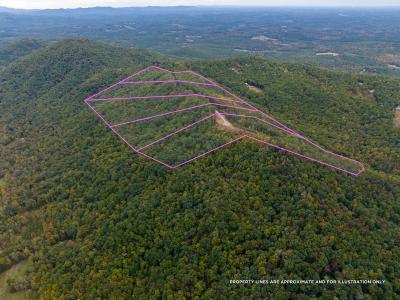 Shoal Ridge Lot 1, Union Mills, צפון קרוליינה 28167, ארצות הברית של אמריקה
