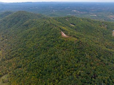 Shoal Ridge Lot 1, Union Mills, צפון קרוליינה 28167, ארצות הברית של אמריקה
