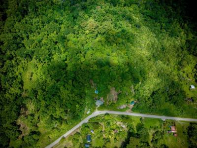 Osa, Puntarenas 00001, コスタリカ