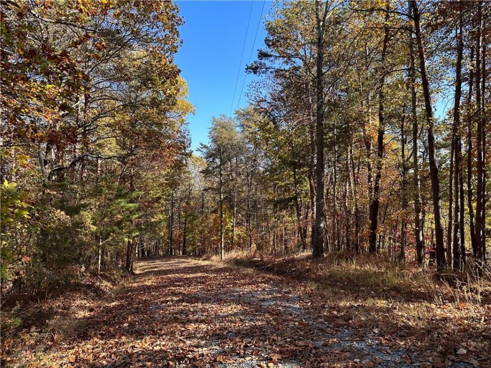 1334 Birch Lane, Ranger, Georgia 30734, USA