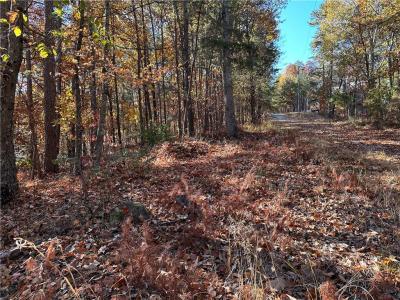 1334 Birch Lane, Ranger, Georgia 30734, USA