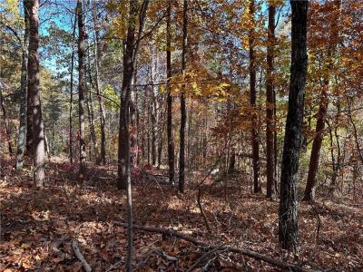 1334 Birch Lane, Ranger, Georgia 30734, USA