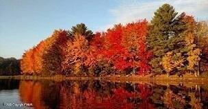 14-21-6 OMAHA Trail, Pocono Lake, Pennsylvania 18347, Estados Unidos