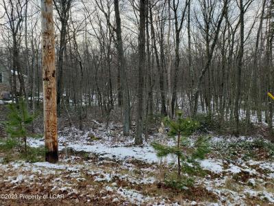 WSS7 55 Creekside Drive, Hazleton, Pennsylvania 18202, Amerika Birleşik Devletleri