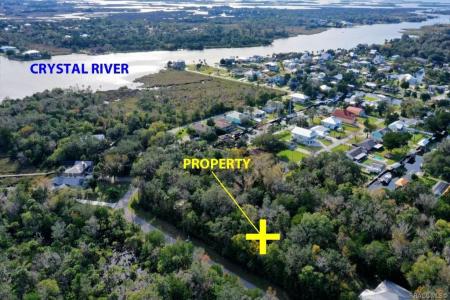 1650 NW 17th Court, Crystal River, فلوريدا 34428, الولايات المتحدة