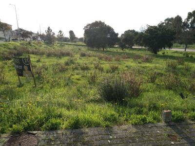 Entroncamento, Santarem 2330-263, Portekiz