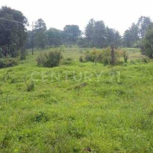 Morelos ,, Tlalmanalco, Estado De México 56700, Mexiko