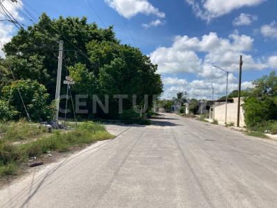 46 125,, Progreso, Yucatán 97330, México