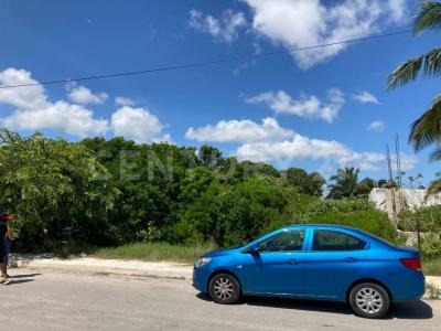 46 125,, Progreso, Yucatán 97330, México