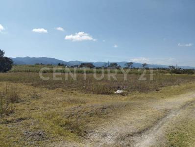 Lagunilla S/N,, Chignahuapan, Puebla 73300, Mexico