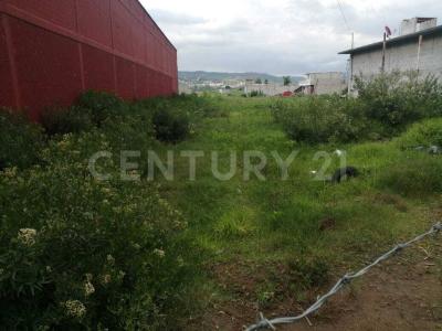 CAMINO DEL TRABAJO 31,, Ixtacuixtla De M Matamoros, טלקסקלה 90123, מקסיקו