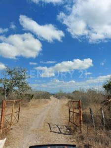 Km 24 Carretera González Rancho 'La Lagrima'.,, González, Tamaulipas 89706, Mexico