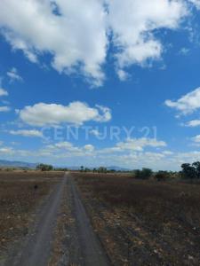 Km 24 Carretera González Rancho 'La Lagrima'.,, González, Tamaulipas 89706, Mexico