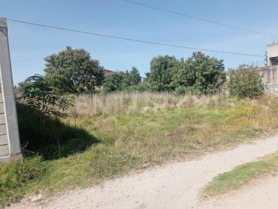 Ignacio Allende ,, Metepec, Estado De México 52161, Mexico