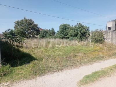 Ignacio Allende ,, Metepec, 墨西哥州 52161, 墨西哥