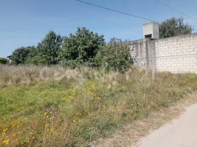 Ignacio Allende ,, Metepec, 墨西哥州 52161, 墨西哥