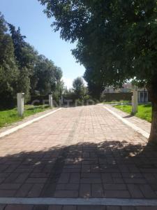 Avenida Benito Juárez 717,, San Pedro Cholula, Puebla 72760, Meksika