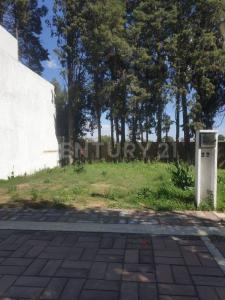 Avenida Benito Juárez 717,, San Pedro Cholula, Puebla 72760, Meksika