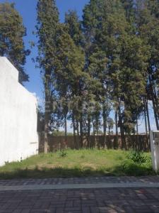 Avenida Benito Juárez 717,, San Pedro Cholula, Puebla 72760, Meksika