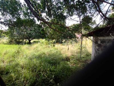 Jiutepec, モレーロス 62550, メキシコ