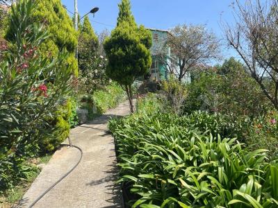 Carretera Km- Donato Guerra - San Lucas S/N,, Donato Guerra, Meksyk (stan) 51030, Meksyk