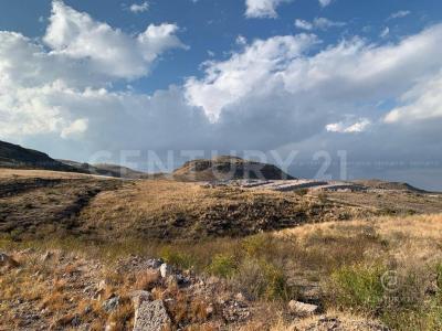 Chihuahua, Chihuahua 31150, Mexico