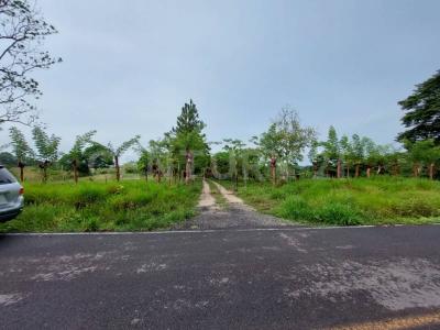 Las Choapas, Veracruz 96985, Mexico