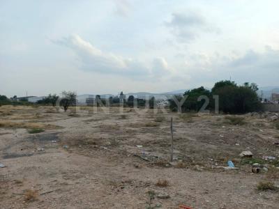 San Luis Potosi, San Luis Potosi 78395, Mexico