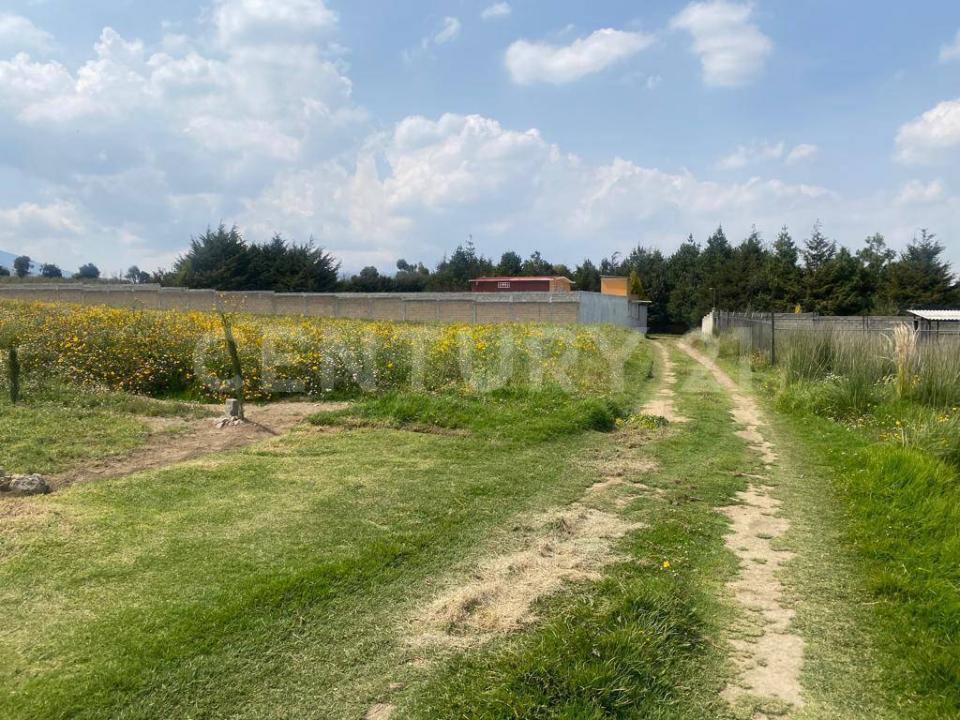 Zinacantepec, 墨西哥州 51370, 墨西哥