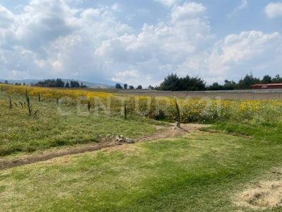 Zinacantepec, 墨西哥州 51370, 墨西哥