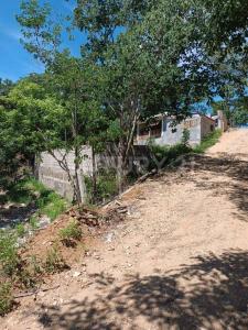 Santa Maria Tonameca, Oaxaca 70946, Mexico