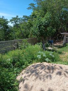 Santa Maria Tonameca, Oaxaca 70946, Mexico