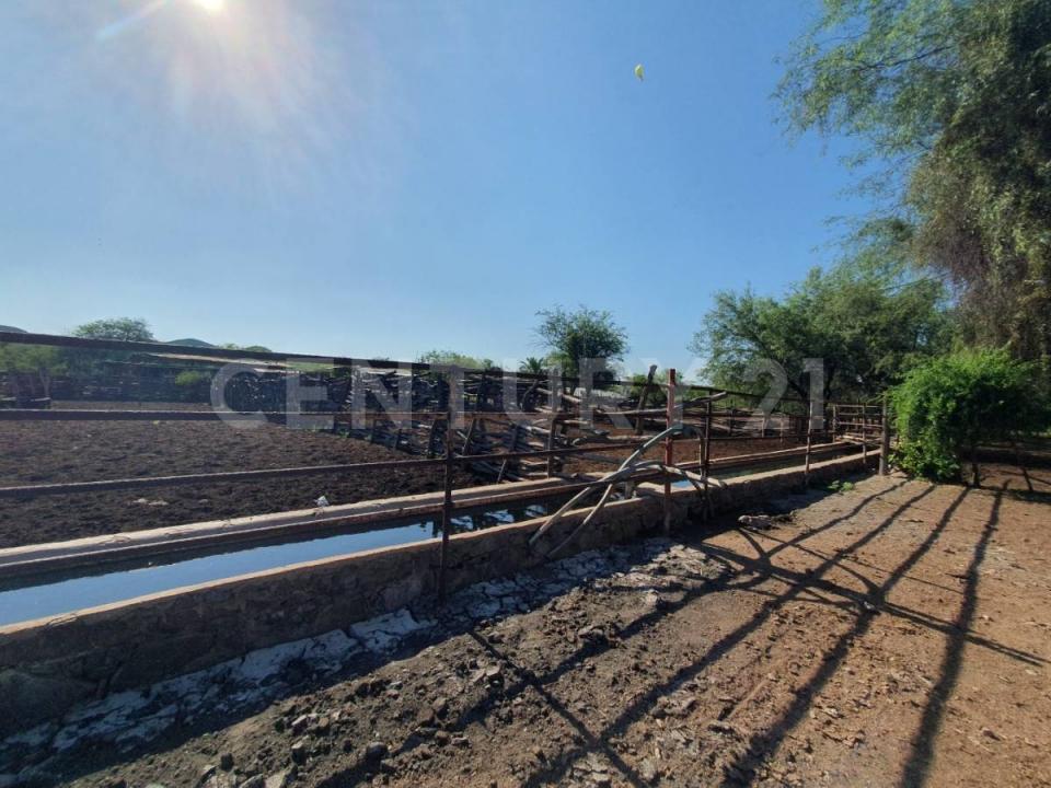 El Fuerte, Sinaloa 81850, Mexique