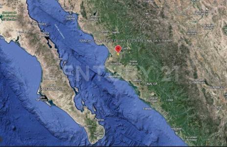 El Fuerte, Sinaloa 81850, Mexique