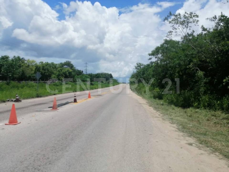 Tizimin, Yucatan 97700, Mexique