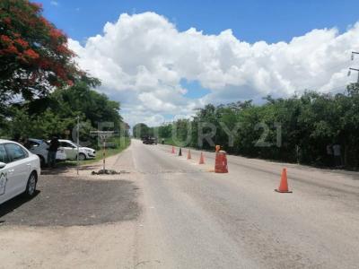 Tizimin, Yucatan 97700, Mexique