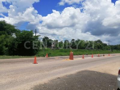 Tizimin, Yucatan 97700, Mexique