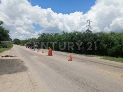 Tizimin, Yucatan 97700, Mexique
