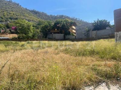 Oaxaca De Juárez, Oaxaca 68030, Mexico