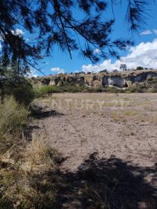 Tlacolula De Matamoros, Oaxaca 70400, Mexico